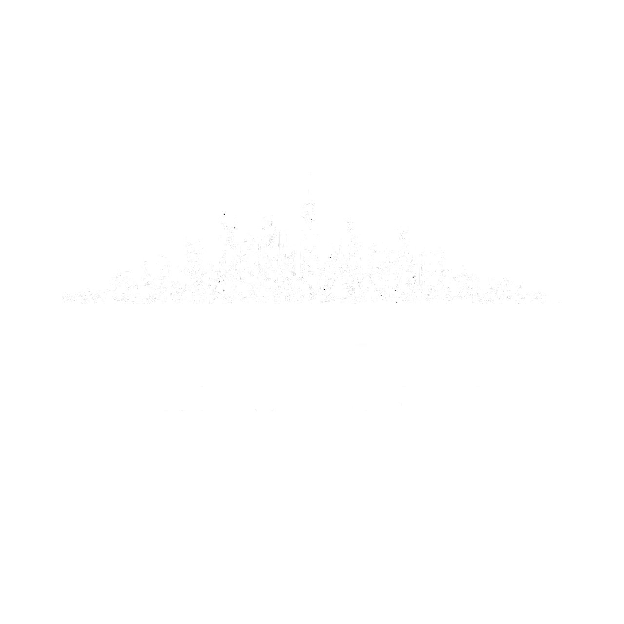 misteryexperience.com